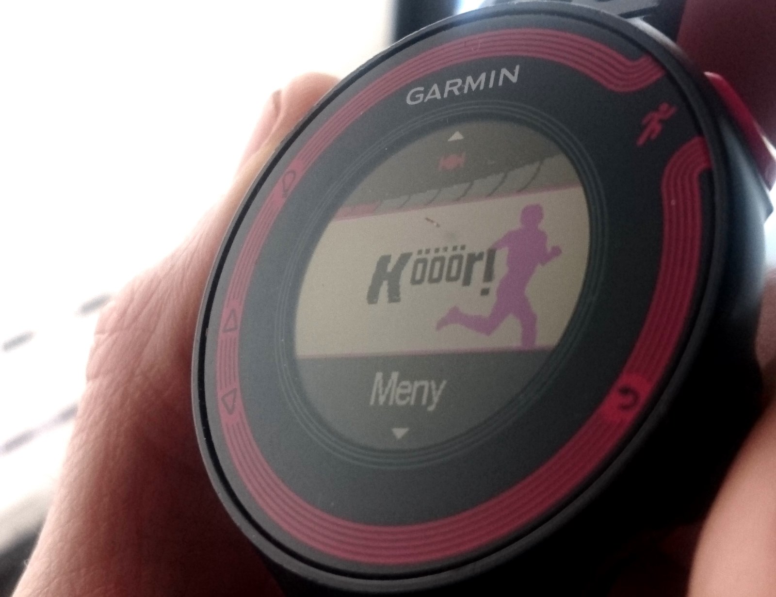 Garmin Forerunner 220